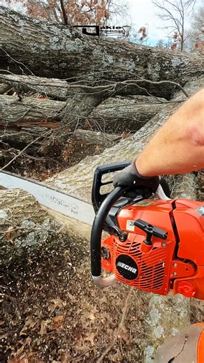 Ported ECHO Global CS-620PW #chainsaw #farmlife #treeservice #homestead #toolsofthetrade #Oklahoma | Oakie Woodsman