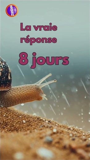 Test de logique : combien de temps vraiment ?