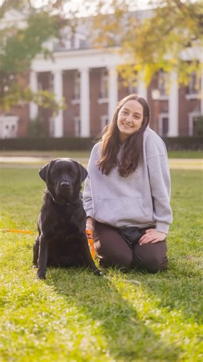Alex Yuan - UIUC Photographer on Instagram: "This beautiful lab was raised with love and care to be an amazing service dog! ❤️ It was lovely taking pictures of Rory and learning about Illini Service Dogs! 🐕‍🦺🐾✨ #uiuc #studentphotographer #portraitphotography #dogphotos #universityofillinois"