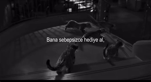 Understanding the Basics: What is the Basic Minimum?