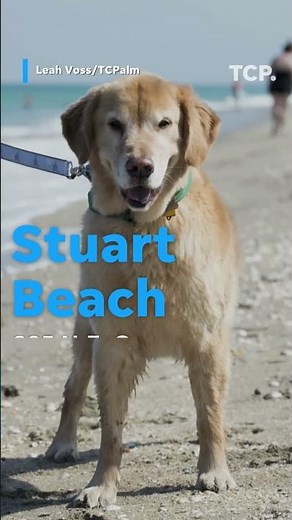 Dog-friendly beaches on Florida's Treasure Coast
