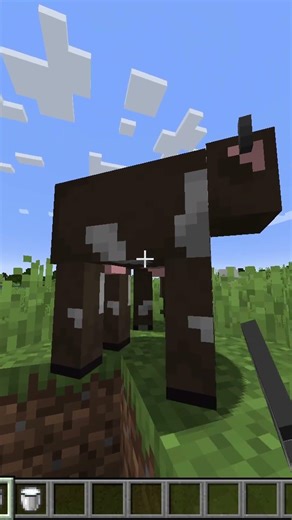 More Minecraft Facts