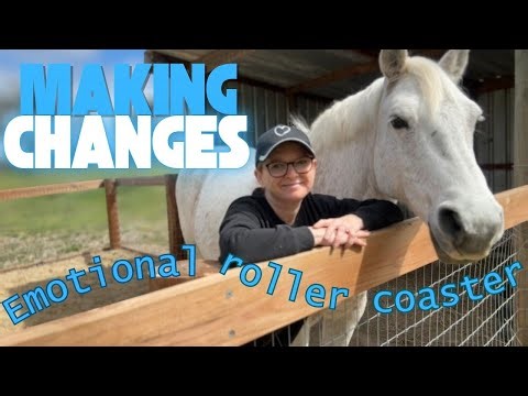 🔷MAKING A CHANGE #horse #equestrianjourney #connemarapony