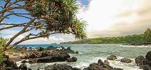 Road To Hana | Valley Isle Excursions