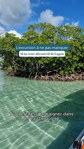 Tu cherches à te baigner dans une eau turquoise en Guadeloupe ? 🌊 À découvrir des mangroves, des coins naturels préservés et à vivre une vraie expérience en mer ? Avec Blue Lagoon, on t’emmène là où l’eau est claire, où le temps ralentit, et où chaque arrêt vaut le détour. Une excursion conviviale, dépaysante et accessible à tous. 👉 Réserve ton expérience 📍 Guadeloupe 📩 Infos & réservations en message privé#guadeloupe #grandculdesacmarin #gwada #caraïbe #guadeloupéenne | Blue Lagoon Excursio