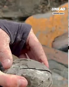 The way this guy finds these spherical rocks containing ancient fossils is satisfying and fascinating! 😮 | UNILAD