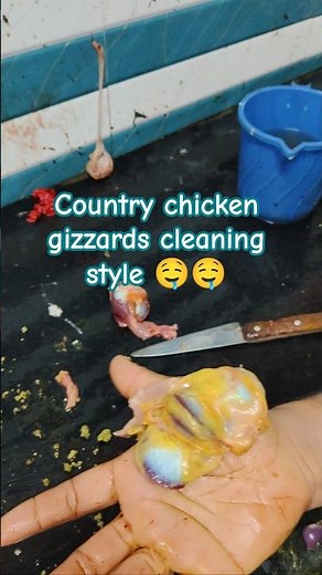 The Satisfying Science of Chicken Gizzards