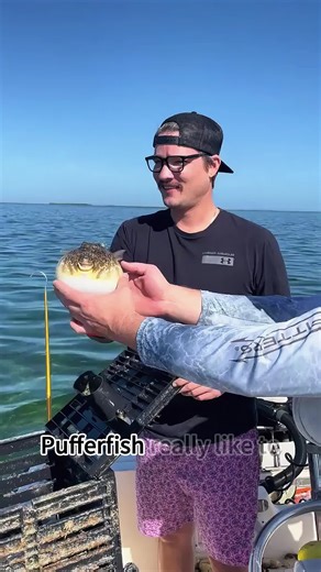 #usa #usa🇺🇸 #fyp #usa_tiktok #usatiktok | Usa Tiktok Video