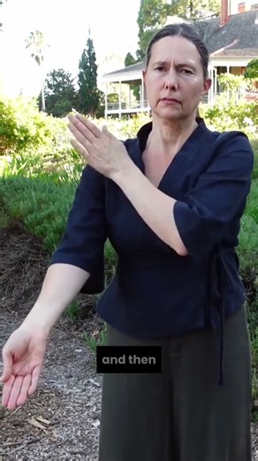 Qigong Tapping for Lung Meridian | Chest Tension Relief, Better Breathing & Stress Reduction