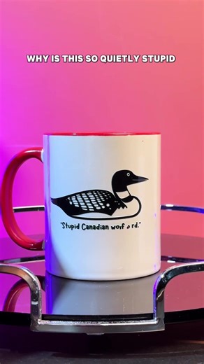 Why did it take me 10 seconds 😭 #wolfbird #shanehollander #ilyarozanov #heatedrivalry #mug