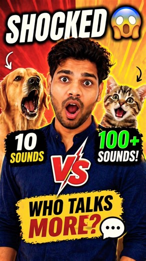 Cat vs Dog 😲 Who Talks More?