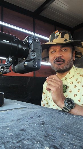 Green Pigeon from my Bird Hide