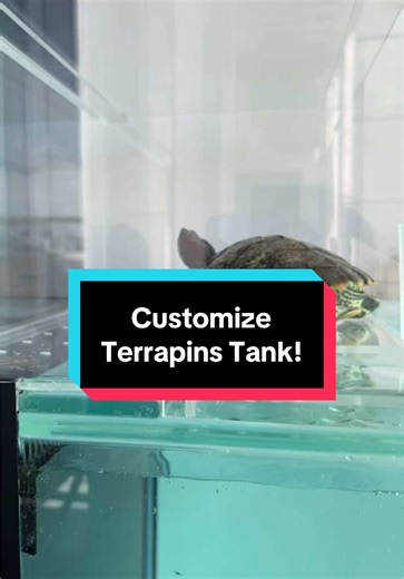 Custom 4ft Terrapin Tank Design for Ninja Turtles