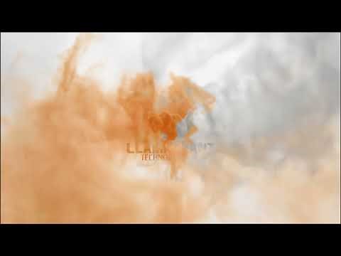 Custom XAF Blazor Application Template