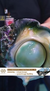 428K views · 13K reactions | Alien Snail Sashimi​...