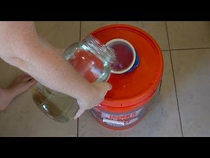 If You Are Culturing Rotifers You Absolutely Need to Know This