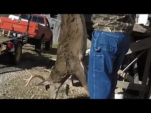 How to Clean and Process a Deer! [[How to Age Your Deer Meat]]
