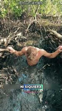 Cómo sobrevivir a un pantano REAL 🐊🆘