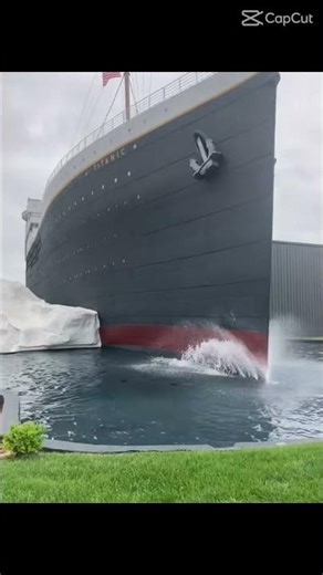 Live pics only #roblox #helpmemakethismakesense # #reddit