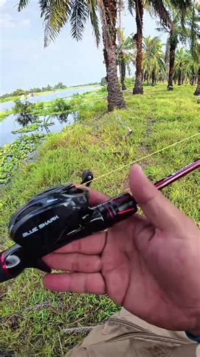Top Recommendations for Affordable Fishing Reels