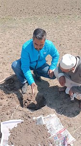 16K views · 115 reactions | Soil sampling procedure (A field demonstration to soil sampling) | Agriculture Activities | Facebook