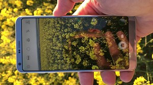 9.9K views · 57 reactions | Amazing visuals! The LGG6 "has some cool features, not least, the large and beautifully sharp display." via @mikekus | LG Global | Facebook