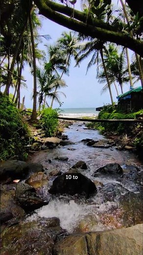 South Goa Itinerary for 2 days | 6 Days Goa Itinerary Part 3 #travelshorts