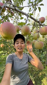 Dairy Farmer- Bound to Japan🇯🇵 Luzern Jpn Hr | Neptali Elaurza