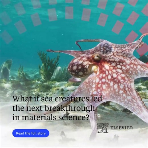 28K views · 29 reactions | What if sea creatures led the next...