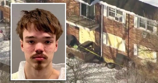 Pregnant woman stabbed 70 times in deadly Downers Grove apartment fire: court docs