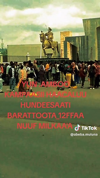 Barattoota Kutaa 12ffaa: Milkaa'ina Haacaluu Hundeessaa