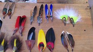 Colorful Feather Craft Ideas for Creative Projects