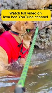 142K views · 6.4K reactions | අපි ගමනක් ගියා 殺 #lexa_bea #viral | Lexa | Facebook