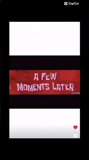 Floatation device #floating #floatation #bird #funny #meme #laugh