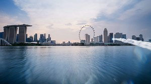 Cruises, Family Cruises & Disney Vacations | Disney Cruise Line