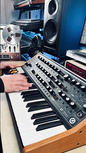 Which Moog Has the Best Bass? Messenger vs Sub37 vs Little Phatty | Part 3 #moog #bass #shorts