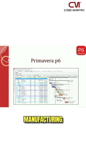What is Primavera P6? | Project Planning & Scheduling Explained