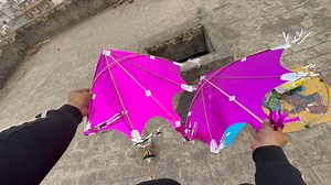 Ankit kite fighting on Reels