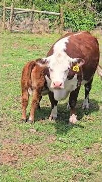 I Think We're KEEPING YOU #WhittAcres #enjoynaturetoday #homesteadinglife