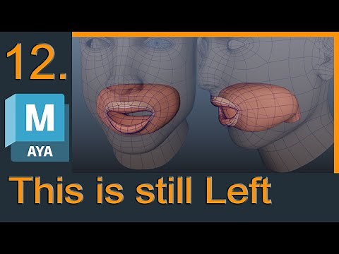 Inside the Mouth: How to Model a Detailed Mouth Cavity in 3D