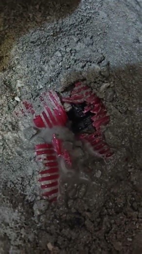 Leak under the shower stall