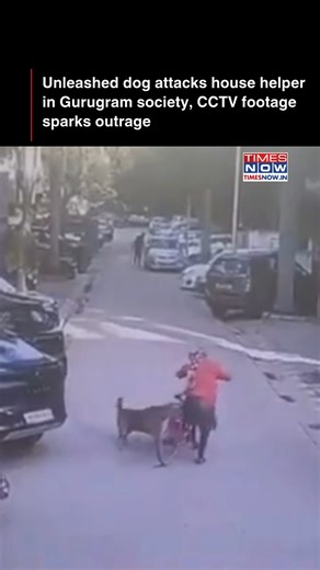 A pet dog was seen being walked without proper control or leash. Despite the owner being present, the dog reportedly attacked a house helper—raising serious concerns about responsible pet ownership and public safety. #NewsWithTN #TimesNowNews | TIMES NOW