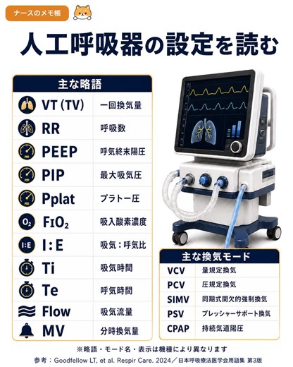 人工呼吸器には、換気量・呼吸数・圧・酸素濃度などの設定が表示されます。看護師が設定と患者さんの状態を照合する際に押さえたい、主な略語の意味です。 #看護師 #看護学生