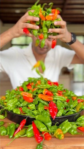 Super Spicy Tomato Chili Sauce | Homemade Hot Sauce for True Spice Lovers 🌶️