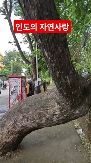 인도는 지금-자연보호 클라스가 다른 인도