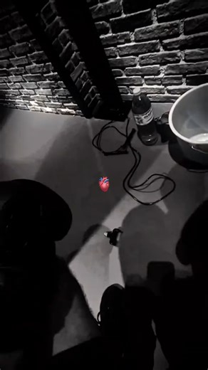 3.8K views · 108 reactions | 壘 Si quieres aprender boxeo sin complicarte, este es el momento de empezar.  Escribe INFO y te muestro cómo dominar lo básico desde casa.  壘 @aprende_box_facil 壘 @aprende_box_facil 壘 @aprende_box_facil #boxeo #boxinglife #entrenamiento #disciplinayconstancia #motivacion #deporte #superacion | Aprende Boxeo Facil | Facebook