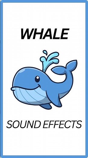Whale Sound Effects