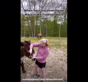 Woman Feeds Donkey with Singing Bowl