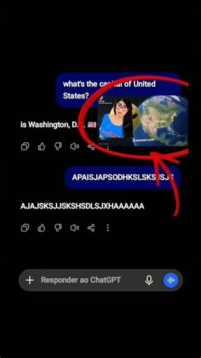 what''s the capital of united states funny meme