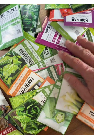 Are you ready to start your seeds indoors yet for your spring vegetable garden? #garden #gardening #vegetablegarden #seeds #seedplanting